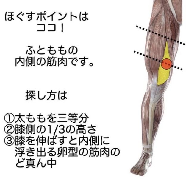 膝の内側が痛くて歩けない しゃがめない 正座ができない方へのセルフケア 東広島市の整体なら 高屋駅前整骨院